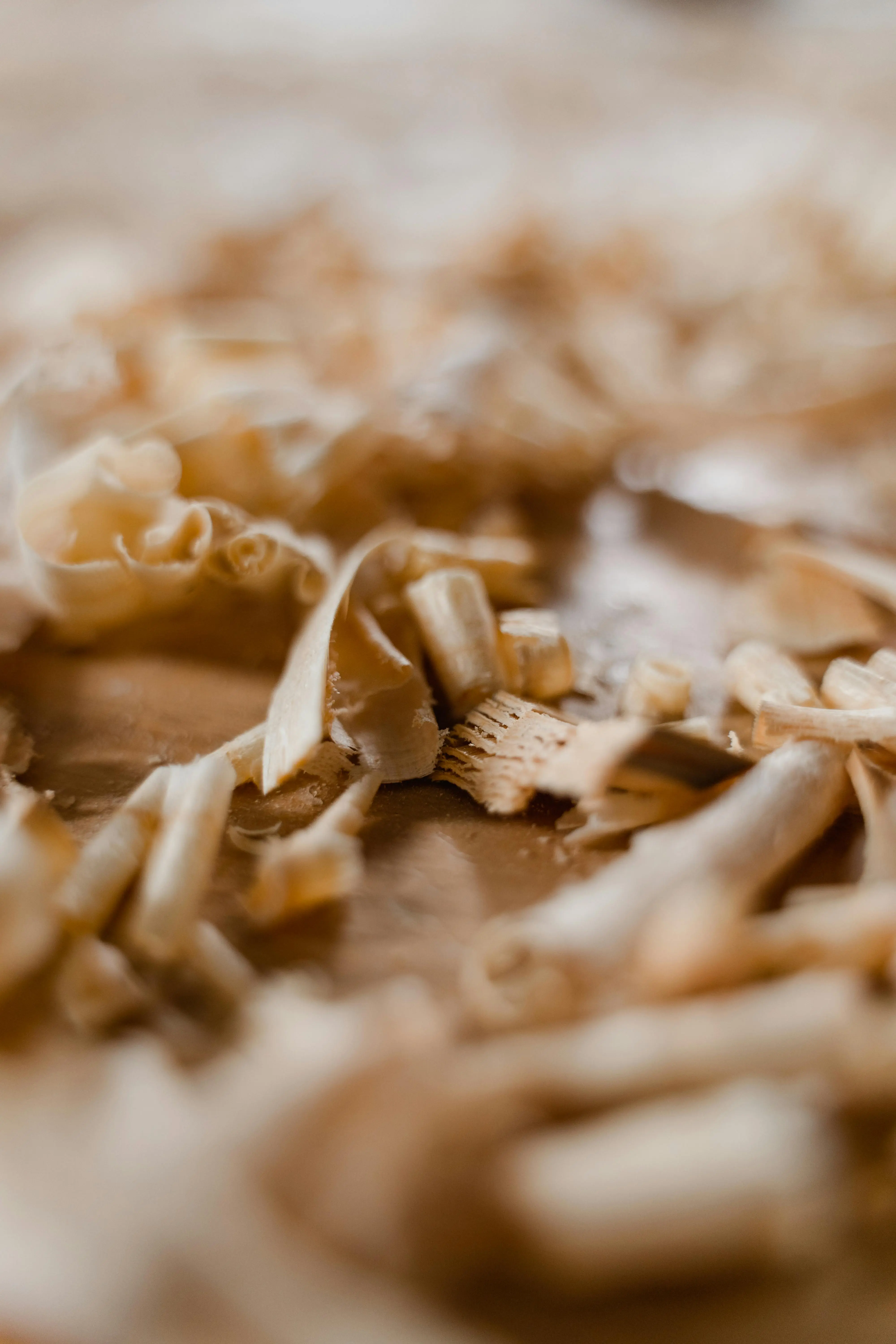 Handwerker bei der sorgfältigen Holzbearbeitung in der Werkstatt